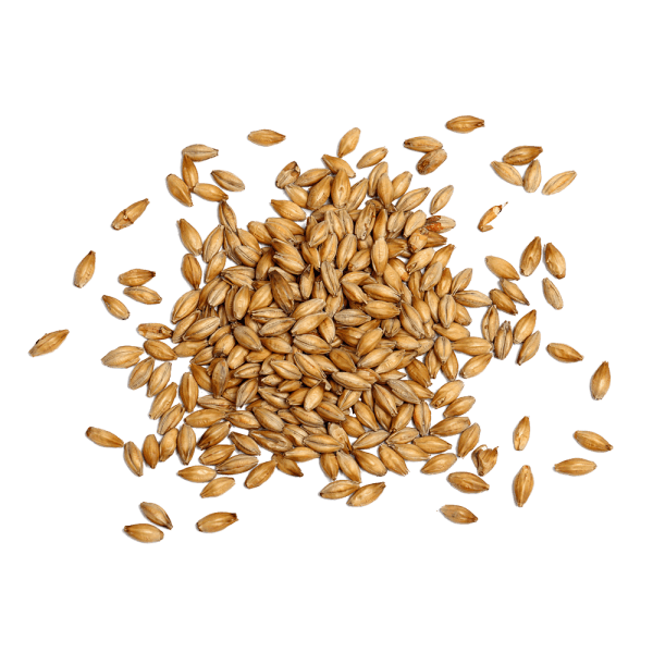 Dried Malt