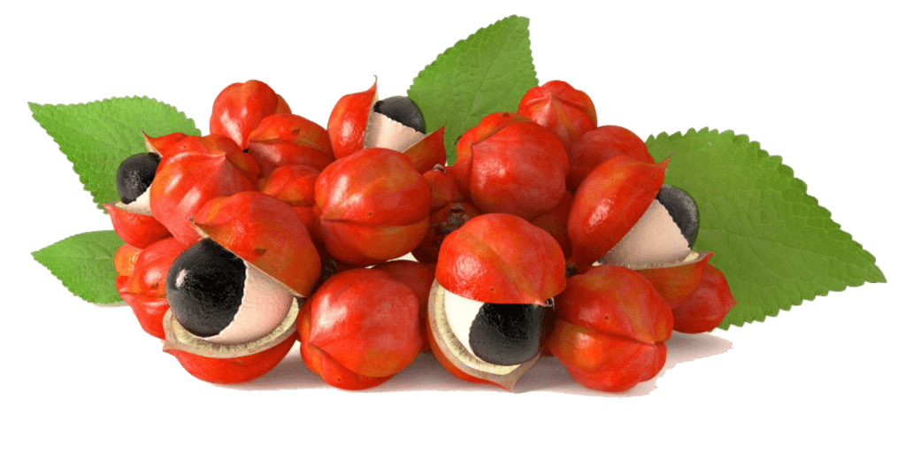 Guarana